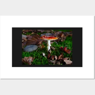beautiful red toadstool on mossy forest floor Posters and Art